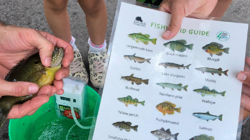 kid holding a fish and using an ID chart to figure out what it is