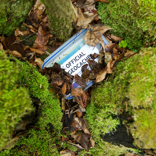 A geocache box hidden in the leaves