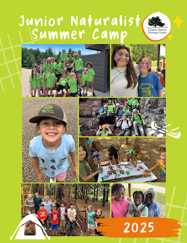 Camp Brochure Cover