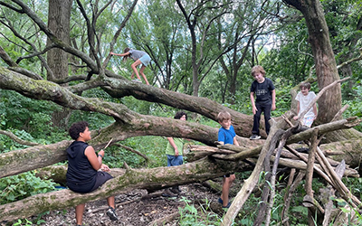 A group of kids climbing on some large branches of a fallen tree