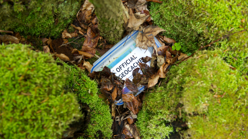 geocache container hidden in the leaves and moss