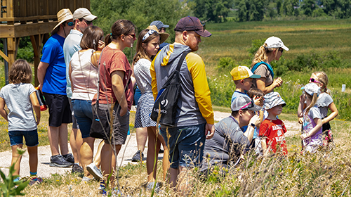 People outside in a prairie listening to a staff member talk about plants
