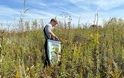 A youth participant in a prairie collecting seed in a large bag