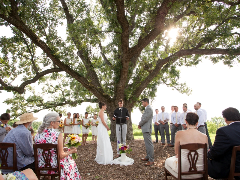 Wedding Ceremony Adjacent to Oak Tree