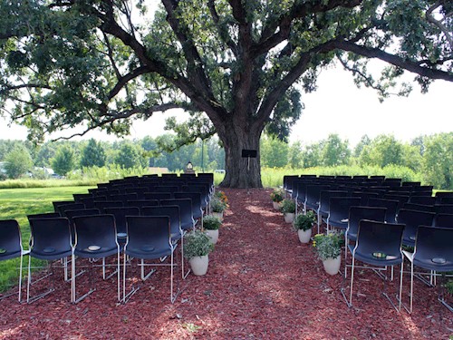 Oak Tree Ceremony - Emma Lee Davis Photography